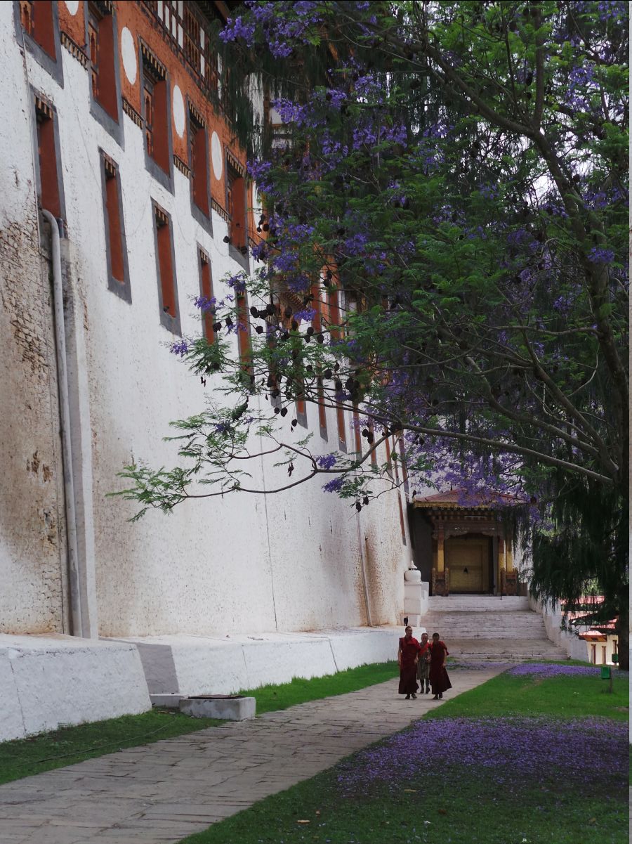 Punakha Dzong40
